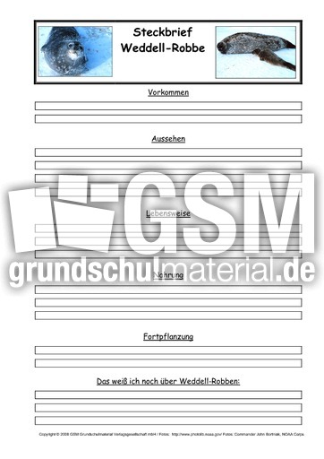 Weddell-Robbe-Steckbriefvorlage.pdf